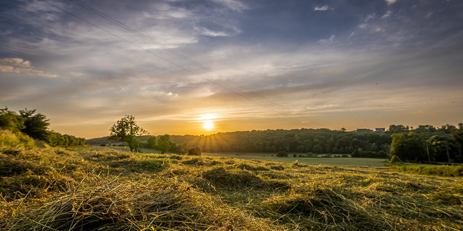 Zomer midweek arrangement Landgoed Altenbroek