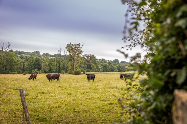 Weekend arrangement Landgoed Altenbroek